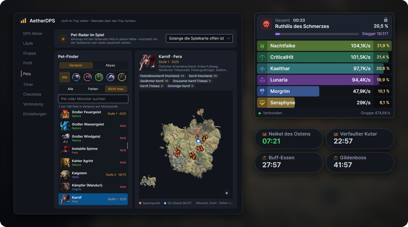 AetherDPS: Hauptfenster mit Pet-Finder, Live-Meter und Timer